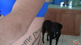 Витая Любовница Its Cleo любит помочь, когда большому члену нужно избавиться от стресса, тем более если она может получить теплую сперму на свои сиськи! Так приятно! Полное видео и все Its Cleo @ ItsCleoLive.com!