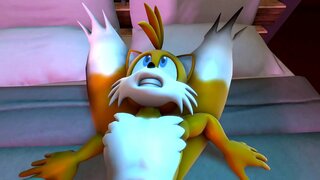 ���ેનીલા વિ પૂંછડીઓ